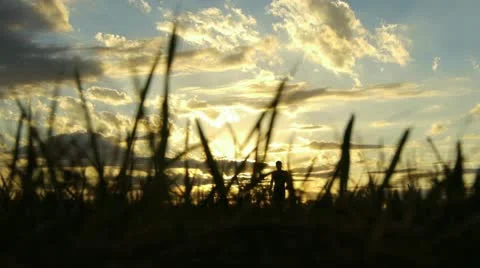 Man Walking Toward Camera Video stock 12532340