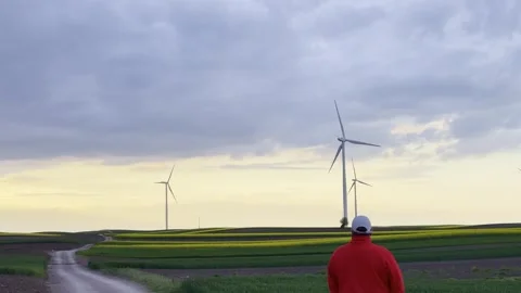 Man Walking Toward Wind Turbines Across Rural Fields at Sunset Video stock 335215517