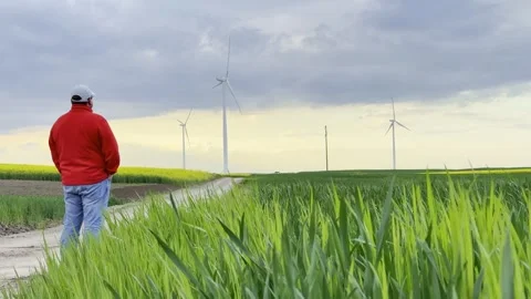 Man Walking Toward Wind Turbines Across Rural Fields at Sunset Video stock 335215664