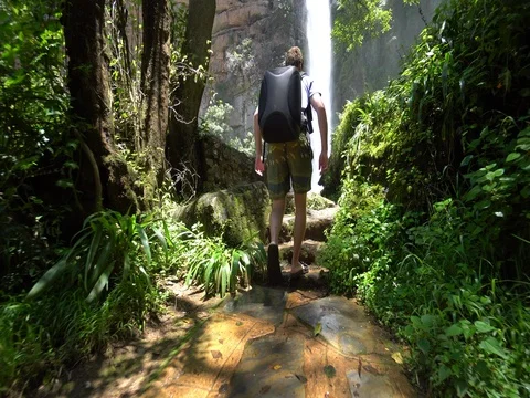 Man Walking Towards and Looking up at Lone Creek Falls Waterfall Stock Footage 79162030