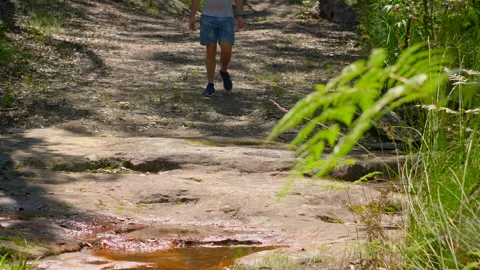 Man walking towards camera on a bush track, past a stream, medium shot Stock Footage 149018489