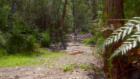 Man walking towards camera on a bush track, past a stream, wide shot Stock Footage 149018715