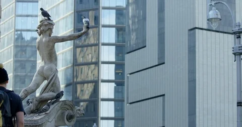 Man Walking Towards Statue In Beautiful New York City While Birds Fly Off  Stock Footage 112329373