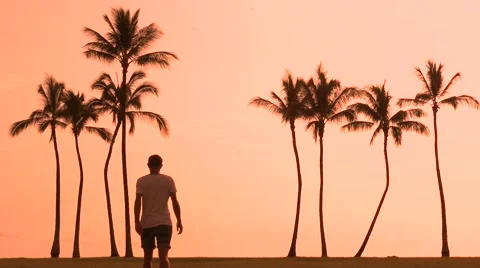 Man walking towards sunset Stock Footage 66681742