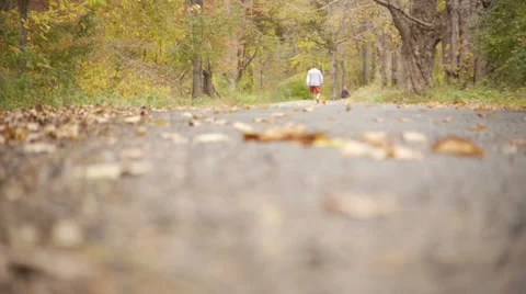 Man walking on trail in the Autumn Stock Footage 33060731