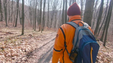 Man walking by trail in forest. Stock Footage 143386276