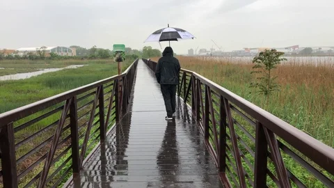 Man walking on trail with umbrella Stock Footage 90135514