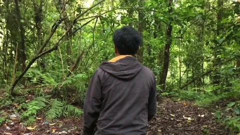 Man walking in tropical forest Stock Footage 220710944