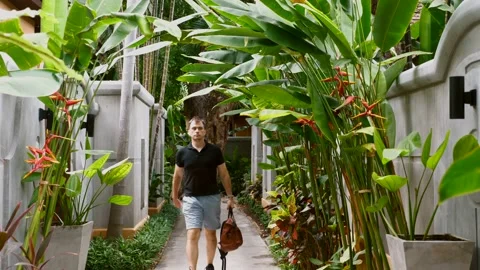Man walking in tropical resort, surrounded by lush greenery of jungle Stock Footage 232943042