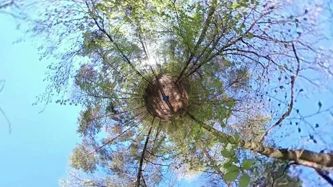 Man walking trough Deciduous forest, VR360, Tiny planet, Tiny planet effect Stock Footage 106827682