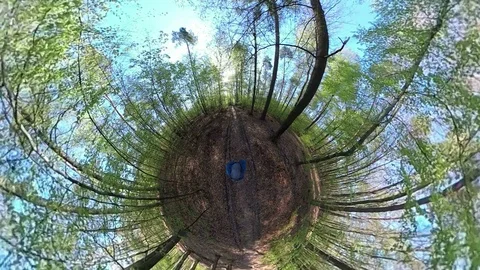 Man walking trough Deciduous forest, VR360, Tiny planet, Tiny planet effect Stock Footage 106828439