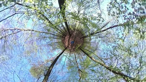 Man walking trough Deciduous forest, VR360, Tiny planet, Tiny planet effect Stock Footage 106837802