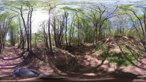 Man walking trough Deciduous forest, VR360, Tiny planet, Tiny planet effect Stock Footage 106883811