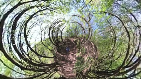 Man walking trough Deciduous forest, VR360, Tiny planet, Tiny planet effect Stock Footage 106884083