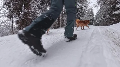 Man Walking Two Dogs on Snowy Country Road in Winter Nature, POV Legs View Scene Stock Footage 322908960