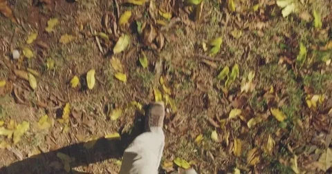 Man walking under trees on walkway and lawn with leafs in urban city park on a 스톡 동영상 73278172