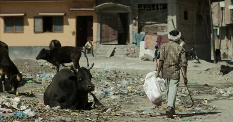 Man walking in untidy backyard Stock Footage 59979150