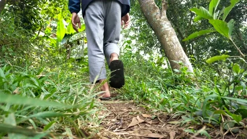 Man walking uphill in nature Stock Footage 211947732