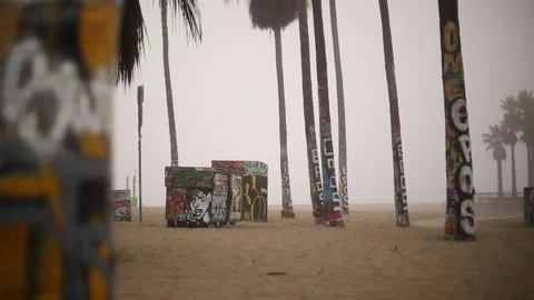 Man Walking in Venice, Graffiti Trees Stock-Footage 143579299