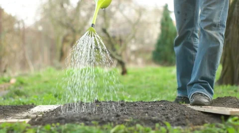 Man Walking with Watering Can Stock Footage 62405486