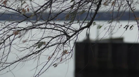 Man Walking on Wharf, Winter Stock-Footage 33692038