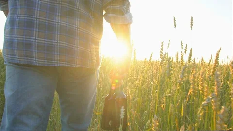A man walking on a wheat field with two bottles of beer on a hot day. at sunset Stock Footage 97012152