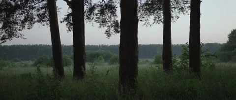 A man is walking into the wild Stock Footage 141884679