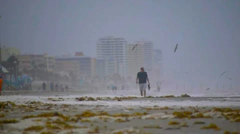 Man walking on a windswept beach in Florida 库存影片 8832474