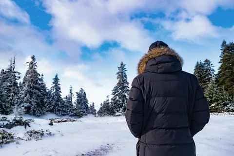 Man Walking in winter forest Stock Photos