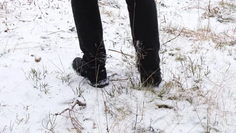 Man walking in winter forest2 Stock Footage 129572362