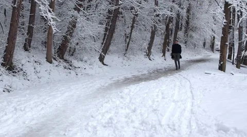 Man Is Walking In The Winter Park Beautiful Winter Nature Video stock 47690708