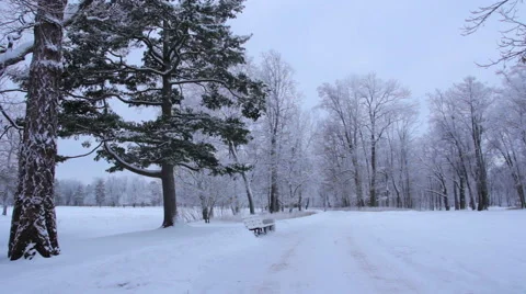 Man walking in winter Park Video stock 60912430