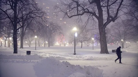 Man Walking In Winter On Snow Between Trees Stock Footage 112176056