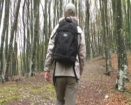 Man walking wood Stock Footage 435225