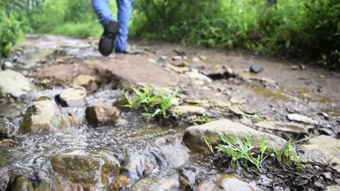 Man walking in the wood Stock Footage 149827004