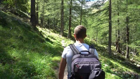 Man Walking in the Wood, Steadicam Stock Footage 94335136