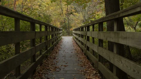 Man walking up wooden path through Autumn foliage Stock-Footage 34448689
