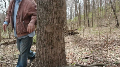 Man walking in the woods Stock Footage 22771379