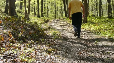 Man Walking In Woods Stock Footage 50096787