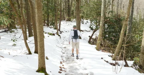 Man Walking in the Woods Stock Footage 53859522
