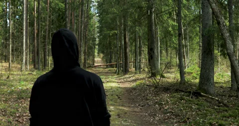 Man walking in the woods Video stock 136135993