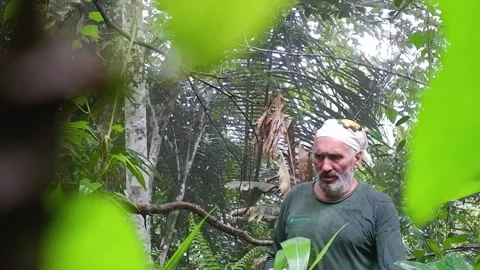 A man is walking in the woods. Video stock 137556487