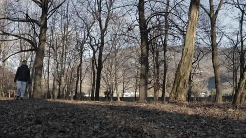 Man walking in the woods Video stock 168966217