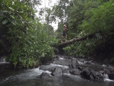 Man Walks Across River on a Fallen Tree Stock Footage 85130397
