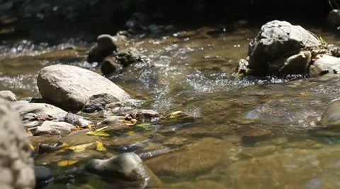 Man walks across stream Stock Footage 8989463