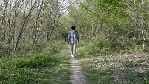 Man walks alone in the woods. Video stock 163670925