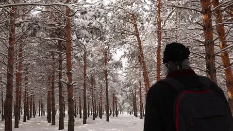 Man walks alone in the woods in winter. Snow falling from the trees. Pine forest Stock Footage 171663985