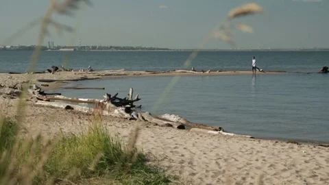 A man walks along the beach Stock Footage 73380305