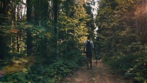 Man walks along a forest path with a stick in his hands. Vídeo Stock 69181779