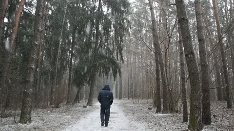 A man walks along a forest path in the snowfall from the camera, pine forest, Video stock 127575284